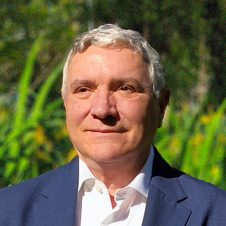 Pedro Antonio Araujo Nespereira
