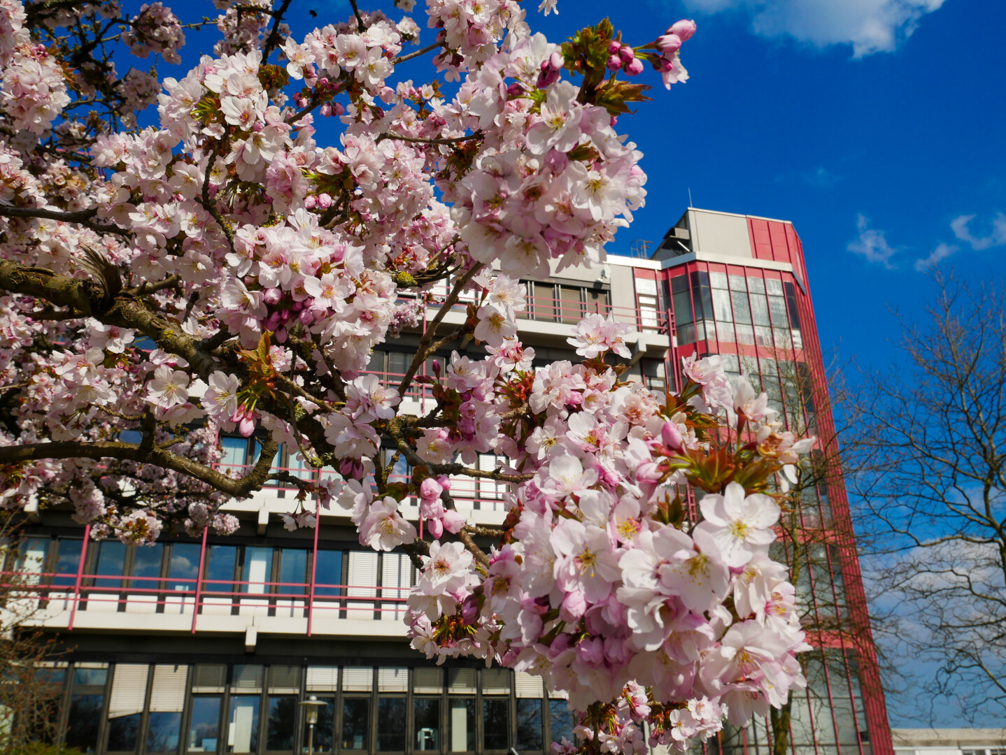 Hölderlinstraße (H) Campus